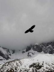 Lu Wanwan Li Jingche