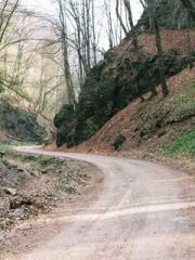 lt;Dragon King Legen