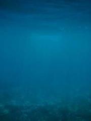 Fāng Chénlín Xuěyán