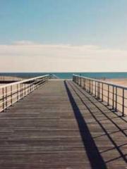 The Favorite Concubi