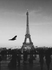 One Pregnancy, Two B