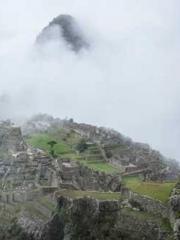 lt;lt;lt;lt;Yearning