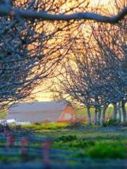 Crossing the Great Q