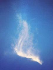 The Apothecaryapos;s