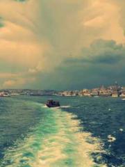 My Sweet Wife: The C