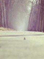 A Second Marriage Mo