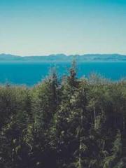 One Pregnancy, Two B