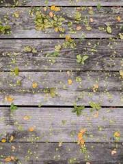 Rebirth of the Super