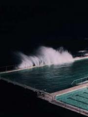 Cultivating My Empre