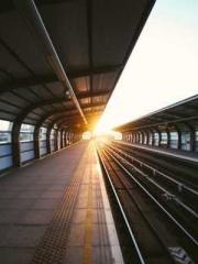 The Hardships of a D