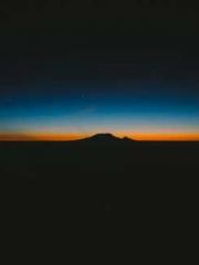 One Pregnancy, Two B