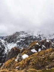 Lu Wanwan Li Jingche