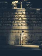 lt;Dragon King Legen