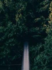 Bones-Eating Marriag