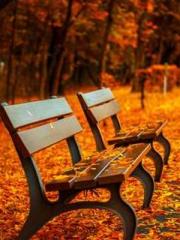 The Best Little Body