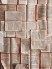 The Return of the Su