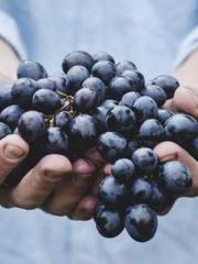 High School Campus S