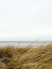 A Wifeapos;s Plea fo