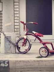 Cultivating My Empre