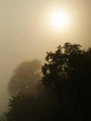 The  Princess  Rebor