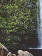 The Exclusive Daught