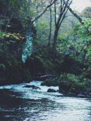 King of Nine Profoun