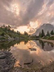 My Sweet Wife: The C