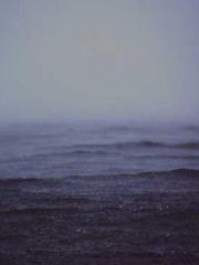 lt;Natural Disasters