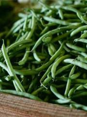 The Beloved Physicia