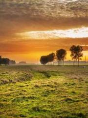 One Night Marriage P