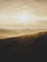 Shocking! This prota