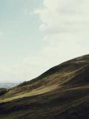 Become a big shot in