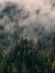 Rong Shao Nan Ning Y