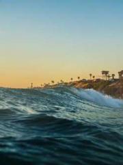 The Poisonous Doctor