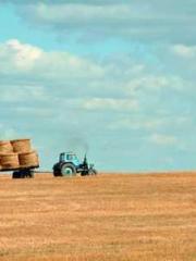 The Beloved Physicia