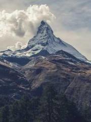 lt;Gingerly, Shen Qi